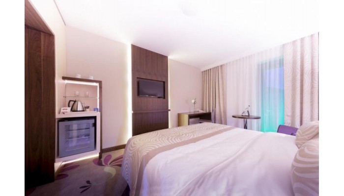 Hotel Transylvania Inn poza 7