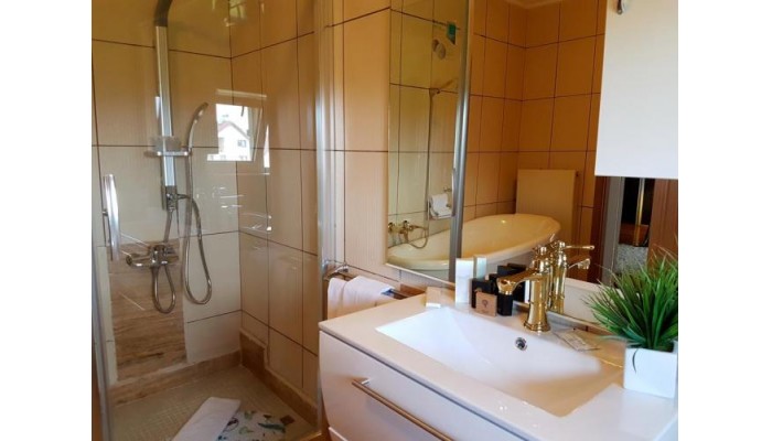 Vila Elisabeta poza 10