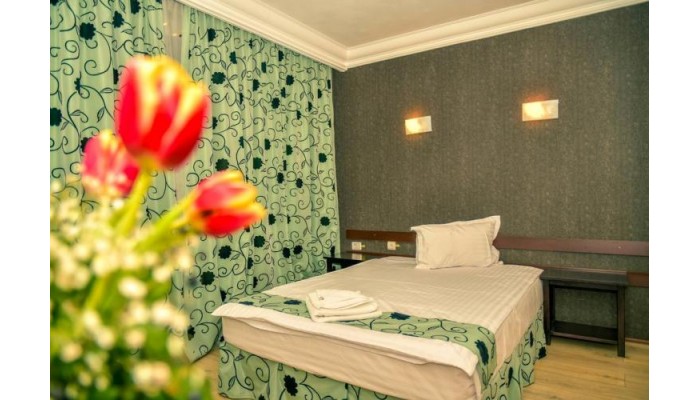 Vila Elisabeta poza 9