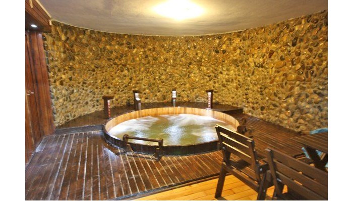 Vila Elisabeta poza 4