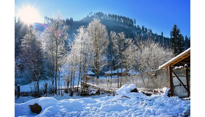 Hotel Pension Steaua Ariesului poza 7