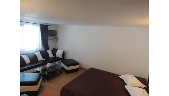 Hotel Pension Steaua Ariesului poza 16