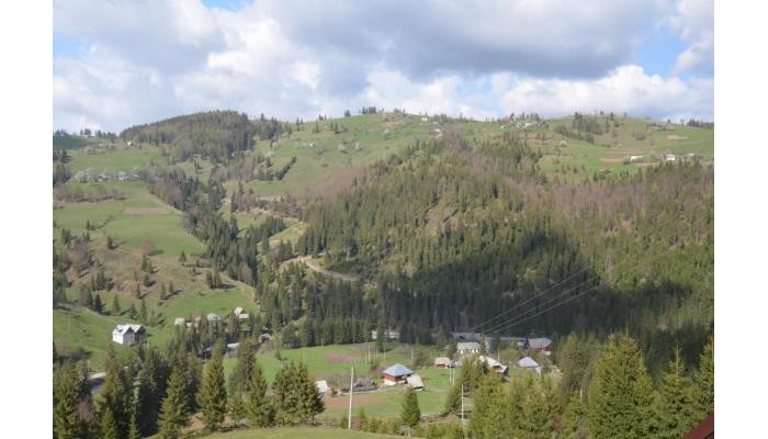 Hotel Denisa's Lodge poza 2
