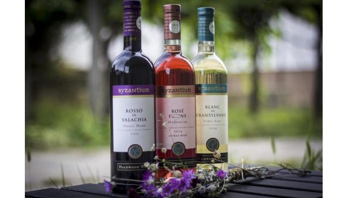 Pensiunea Rhein poza 5