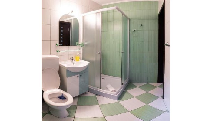 Vila Alma Azuga poza 1