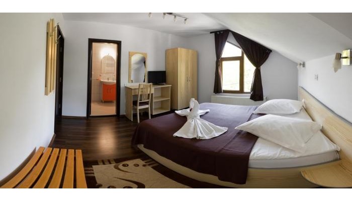 Vila Alma Azuga poza 2