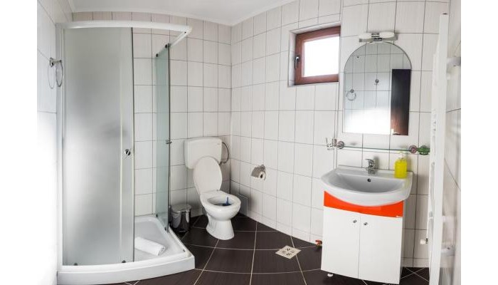 Vila Alma Azuga poza 4