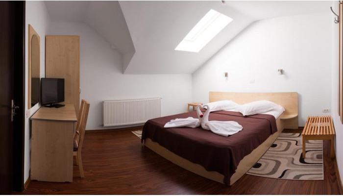 Vila Alma Azuga poza 6