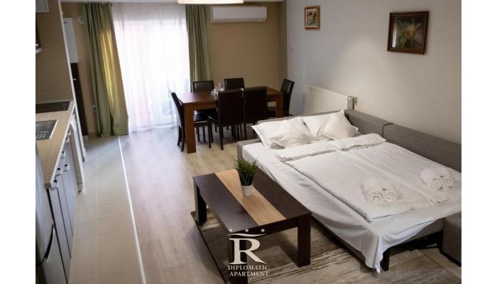 Hotel Apartament Diplomatic Rivulus poza 10