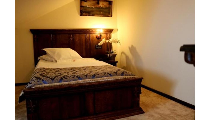 Hotel Castel Transilvania poza 16