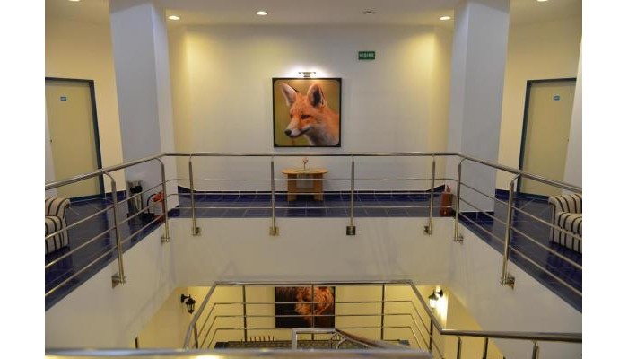 Poza pentru Hotel Motel Restaurant Carmen 246-1600154816 Hotel Motel Restaurant Carmen poza 4
