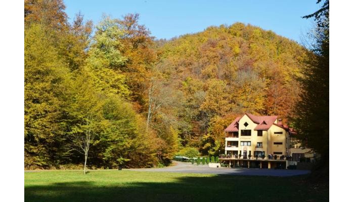 Pensiunea Magura poza 7