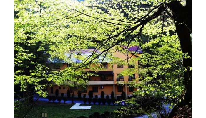 Pensiunea Magura poza 2