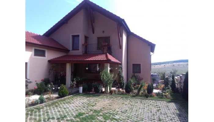 Hotel Casa Doina poza 0