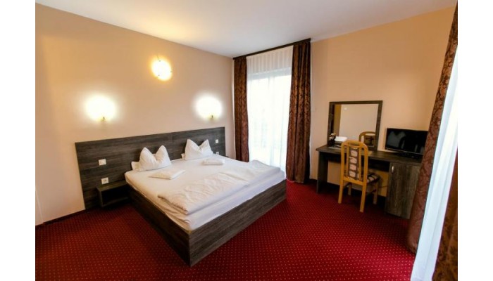 Hotel Nicoleta poza 0