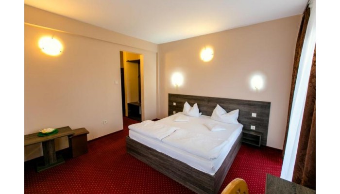 Hotel Nicoleta poza 8