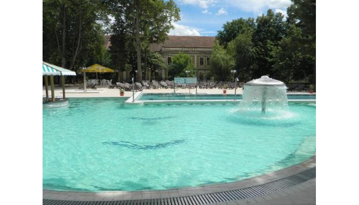 Hotel Nufarul poza 30