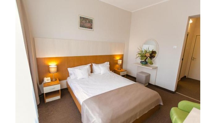 Hotel Nufarul poza 3
