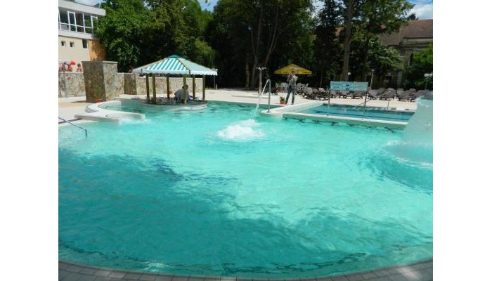 Hotel Nufarul poza 28