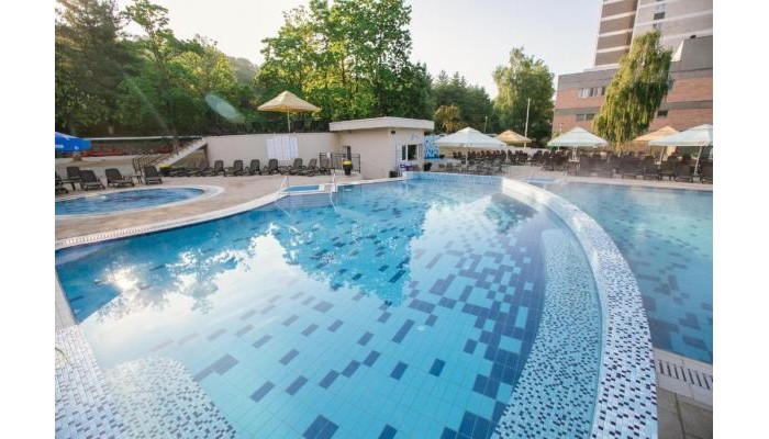 Hotel Poienita poza 11