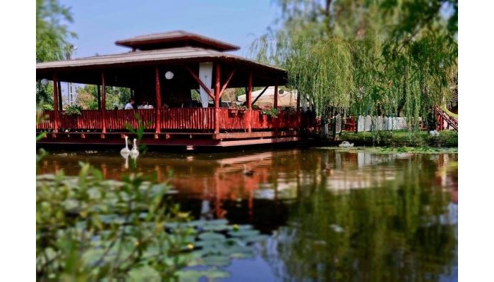 Hotel-restaurant Milenium poza 11