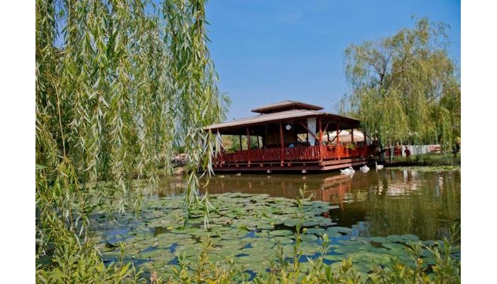 Hotel-restaurant Milenium poza 15