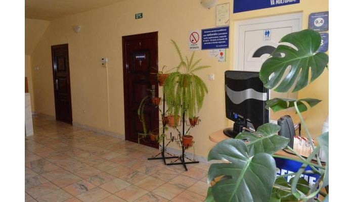 Pensiunea Beverly Hills poza 17