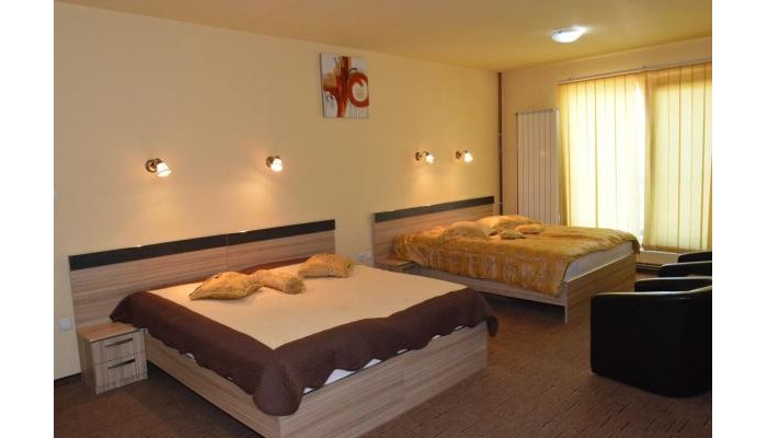 Pensiunea Beverly Hills poza 22