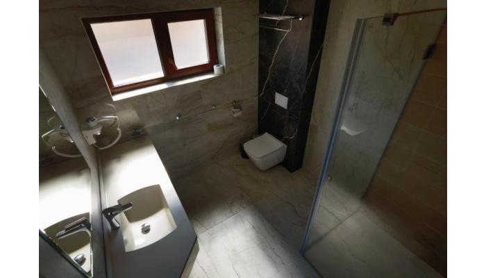 Pensiunea Palace poza 11