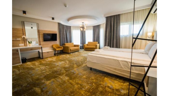 Pensiunea Palace poza 12