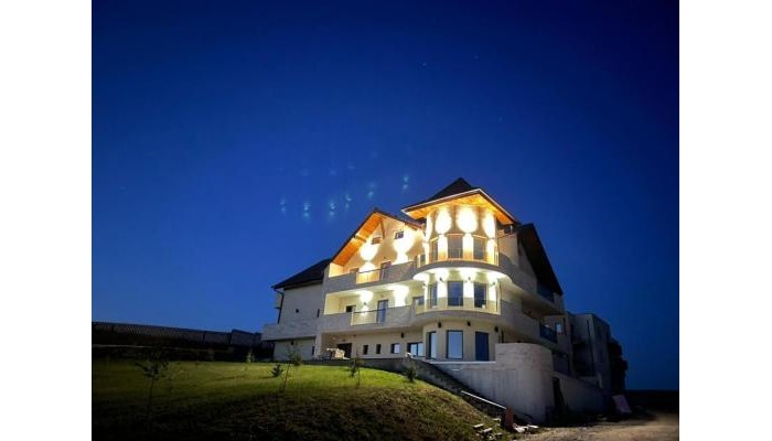 Pensiunea Palace poza 0