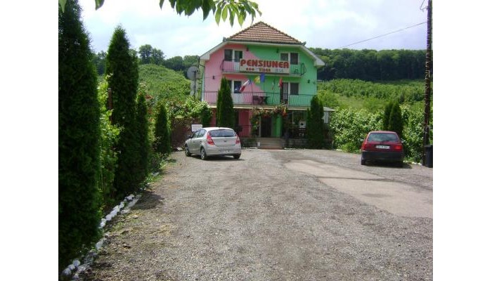 Pensiunea Vidra poza 0
