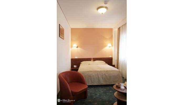Poza pentru Hotel Belvedere 451-1508274003 Hotel Belvedere poza 9