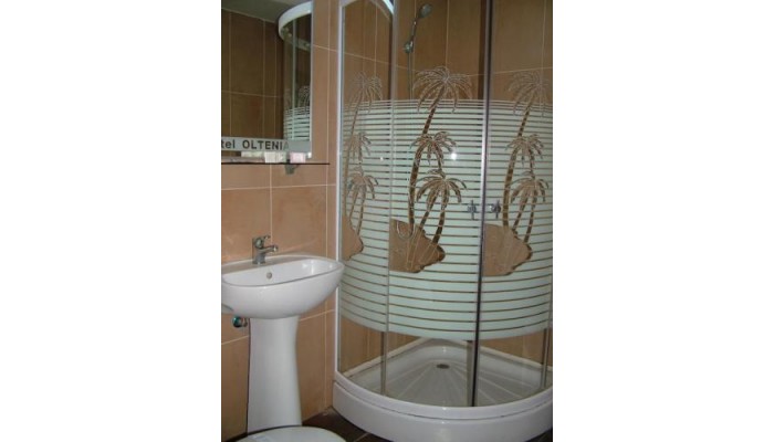 Hotel Oltenia poza 9