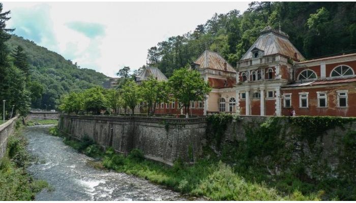 Pensiunea Floare De Colt poza 14