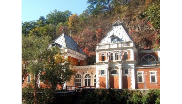 Pensiunea Floare De Colt poza 15