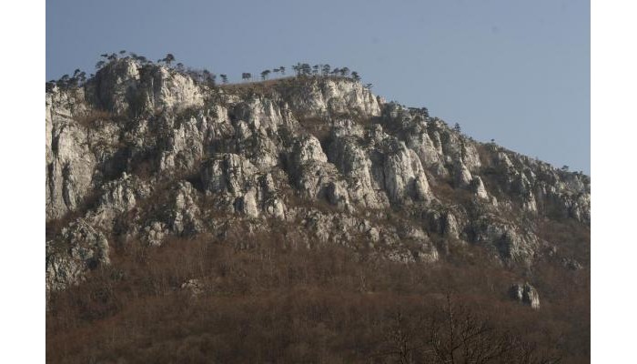 Pensiunea Floare De Colt poza 16