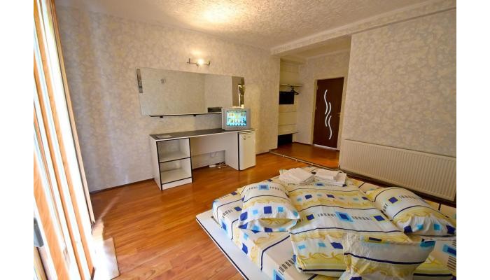 President Pensiune poza 9