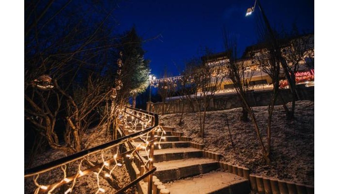 Hotel Iulia Star poza 16