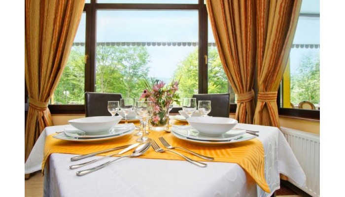 Hotel Iulia Star poza 9