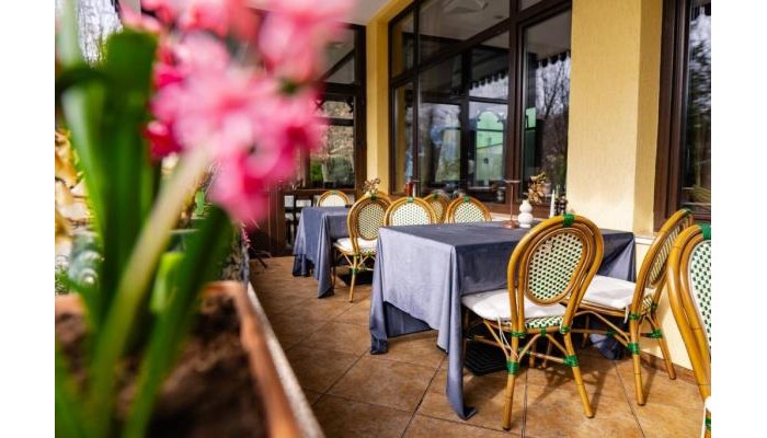 Hotel Iulia Star poza 10