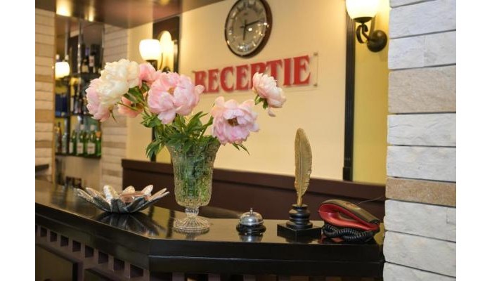 Hotel Iulia Star poza 17