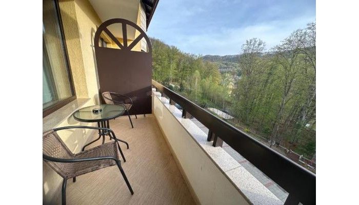 Hotel Iulia Star poza 9