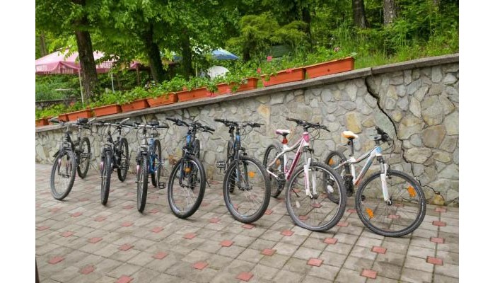 Hotel Iulia Star poza 15
