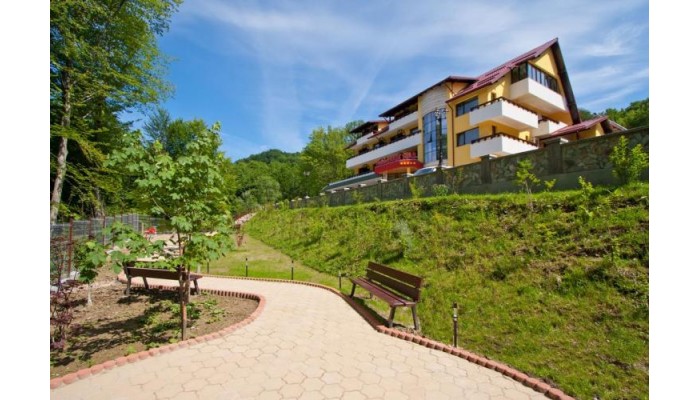 Hotel Iulia Star poza 2