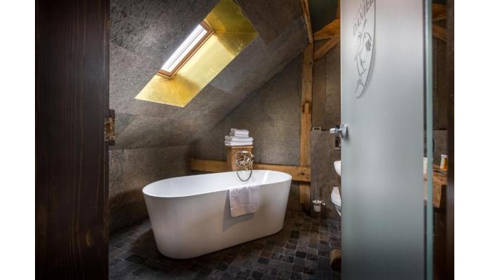 Castle Hotel Daniel poza 21