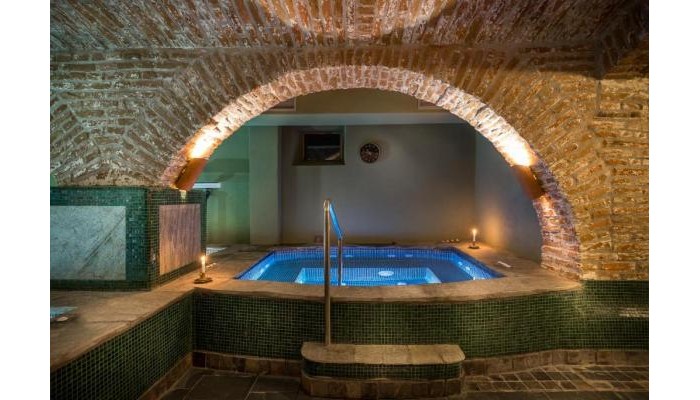 Castle Hotel Daniel poza 28