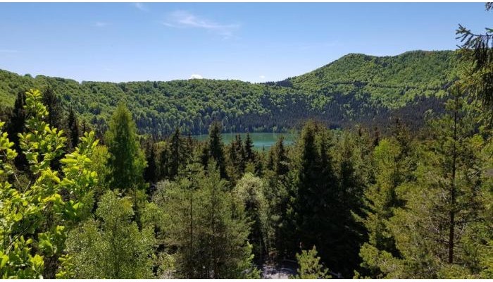 Hotel Fortuna Eco Boutique poza 4