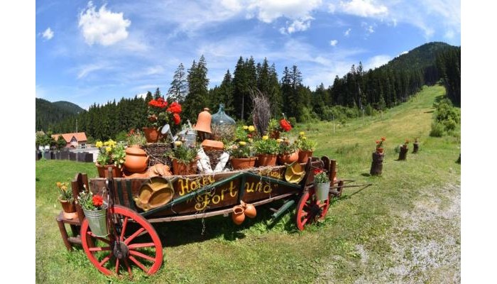 Hotel Fortuna Eco Boutique poza 21