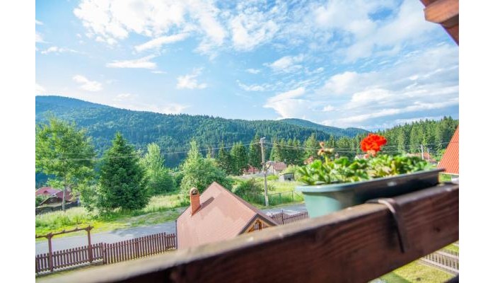 Hotel Silver Villa poza 2